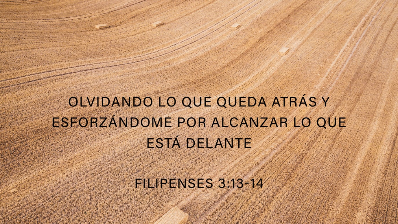 versículo del día filipenses 3 13 14 idisciple